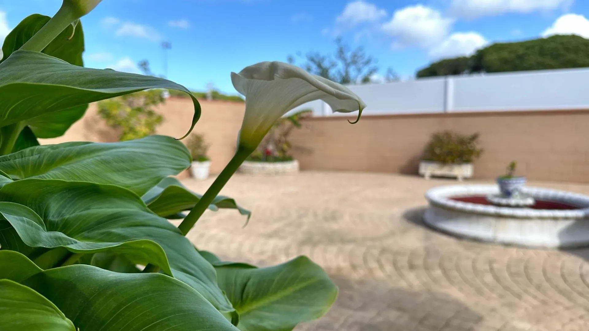 Chalet Aguacate Chiclana de la Frontera 0*,